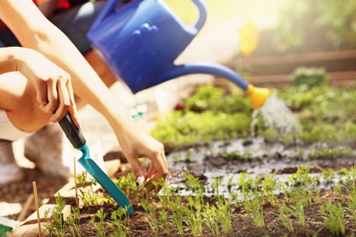 Gardener inspecting a garden plan on site