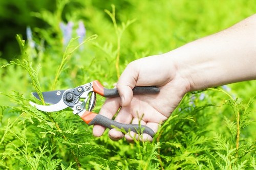 Staff discussing maintenance tasks in a residential garden