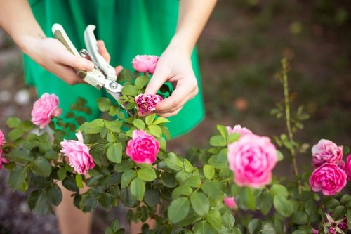 Professional landscaper designing an outdoor space in Bethnal Green
